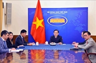 Vietnamese, Lao foreign ministers hold online talks